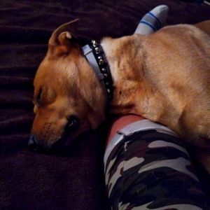 Meet your Posher, Raquel